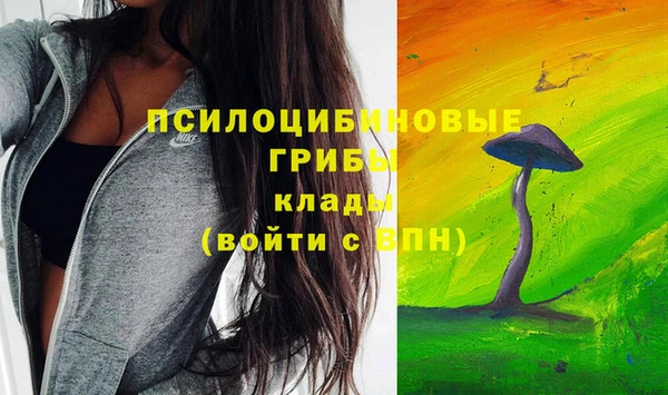 соль курить ск Михайлов