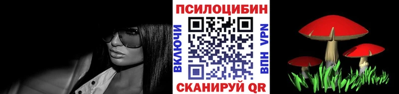 это Telegram  Княгинино  Псилоцибиновые грибы мицелий 